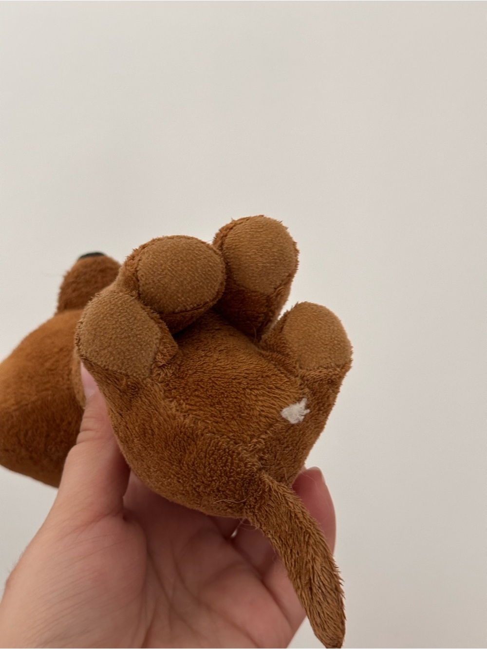 TY dog - Picture 2 of 3